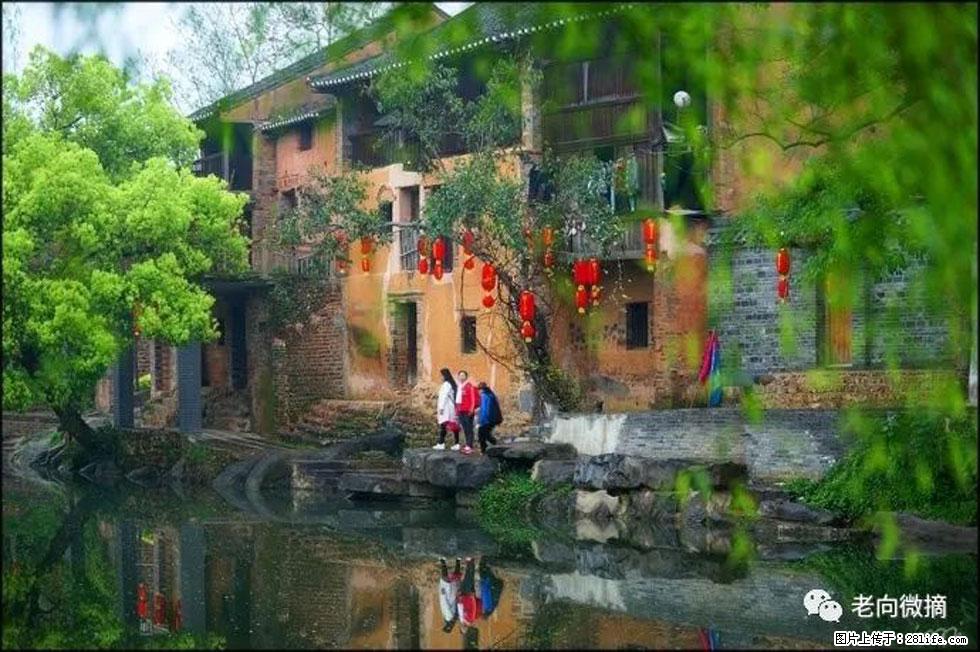 【春天，广西桂林灌阳县向您发出邀请！】江口老街又逢春 - 游山玩水 - 丽水生活社区 - 丽水28生活网 lishui.28life.com