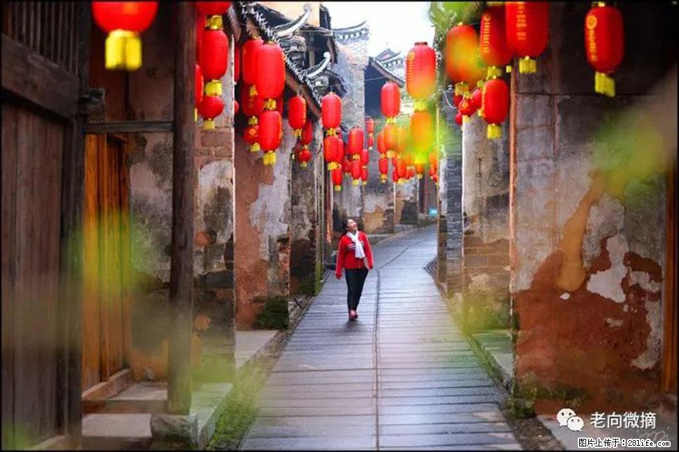 【春天，广西桂林灌阳县向您发出邀请！】江口老街又逢春 - 游山玩水 - 丽水生活社区 - 丽水28生活网 lishui.28life.com