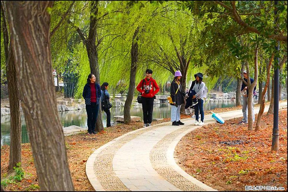 【春天，广西桂林灌阳县向您发出邀请！】江口老街又逢春 - 游山玩水 - 丽水生活社区 - 丽水28生活网 lishui.28life.com