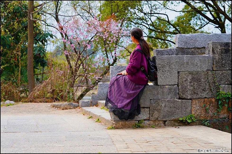 【春天，广西桂林灌阳县向您发出邀请！】江口老街又逢春 - 游山玩水 - 丽水生活社区 - 丽水28生活网 lishui.28life.com