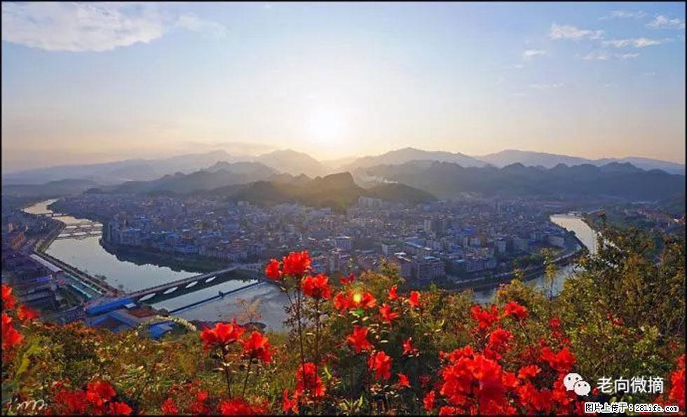 【春天,广西桂林灌阳县向您发出邀请!】登麒麟山,相约映山红 - 游山玩水 - 丽水生活社区 - 丽水28生活网 lishui.28life.com