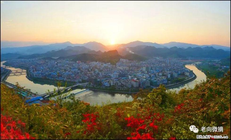 【春天,广西桂林灌阳县向您发出邀请!】登麒麟山,相约映山红 - 游山玩水 - 丽水生活社区 - 丽水28生活网 lishui.28life.com