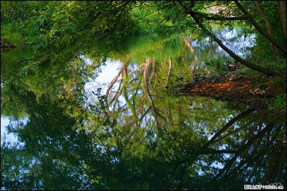 【春天,广西桂林灌阳县向您发出邀请!】熊家寨湿地公园 - 游山玩水 - 丽水生活社区 - 丽水28生活网 lishui.28life.com