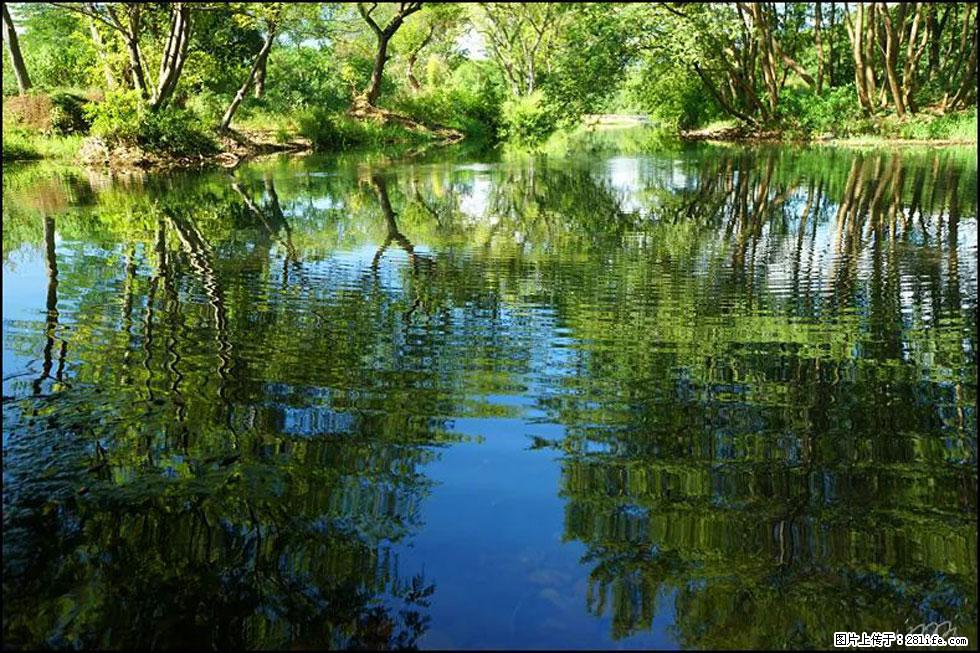 【春天,广西桂林灌阳县向您发出邀请!】熊家寨湿地公园 - 游山玩水 - 丽水生活社区 - 丽水28生活网 lishui.28life.com