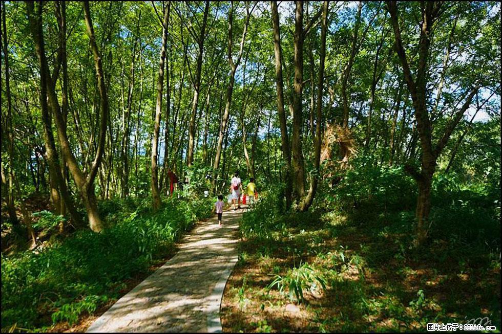 【春天,广西桂林灌阳县向您发出邀请!】熊家寨湿地公园 - 游山玩水 - 丽水生活社区 - 丽水28生活网 lishui.28life.com