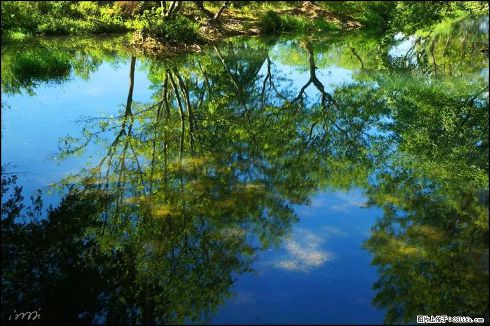 【春天,广西桂林灌阳县向您发出邀请!】熊家寨湿地公园 - 游山玩水 - 丽水生活社区 - 丽水28生活网 lishui.28life.com