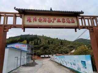 【灌阳县油茶产业示范区】一个有着充实的精神生活的人,对待身外之物自会有一种淡泊的态度 - 丽水28生活网 lishui.28life.com