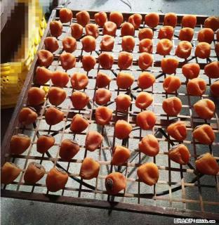 广西桂林平乐桥亭【柿饼之乡】2025年纯手工制作、无任何添加剂的第一批柿饼准备上市了，欢迎联系订购！ - 丽水28生活网 lishui.28life.com