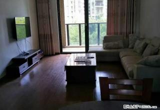 新湖国际一期 精装修 - 丽水28生活网 lishui.28life.com