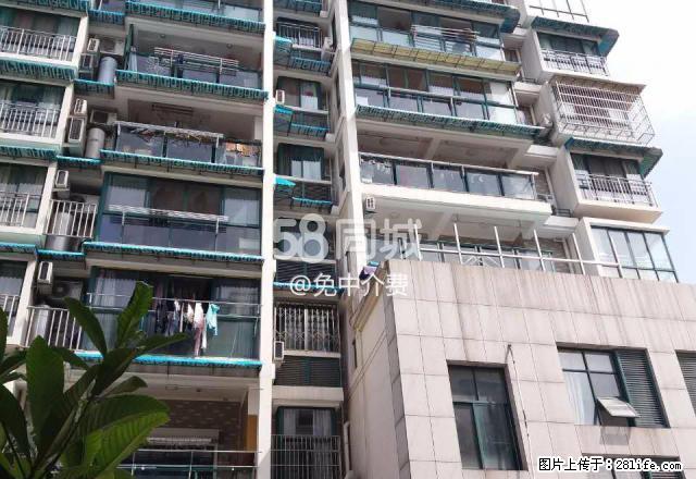 春风佳苑(万地对面电梯房)免中.介费 2室1厅1卫 - 房屋出租 - 房屋租售 - 丽水分类信息 - 丽水28生活网 lishui.28life.com