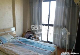 丽阳国际公寓(电梯单身公寓)免中.介费 1室厅1卫 - 丽水28生活网 lishui.28life.com