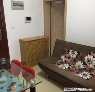 邻近动车站,繁华地段,精装修,家电齐全,拎包入住 - 丽水28生活网 lishui.28life.com