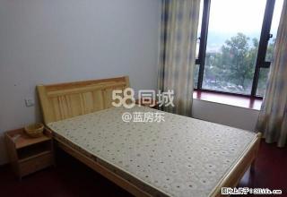 免中.介费|新湖国际1期独卫独立厨房 2室1厅1卫 - 丽水28生活网 lishui.28life.com