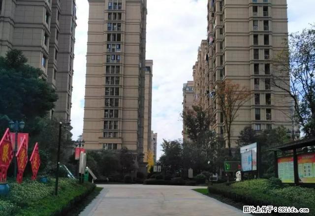 出租新湖天润阁3室二厅一卫套房A13 - 房屋出租 - 房屋租售 - 丽水分类信息 - 丽水28生活网 lishui.28life.com