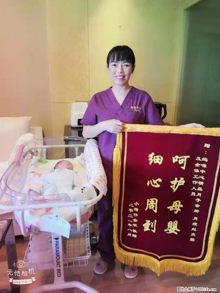 上海高端月子会所招新手月嫂,零基础带教,包吃住 - 职场交流 - 丽水生活社区 - 丽水28生活网 lishui.28life.com
