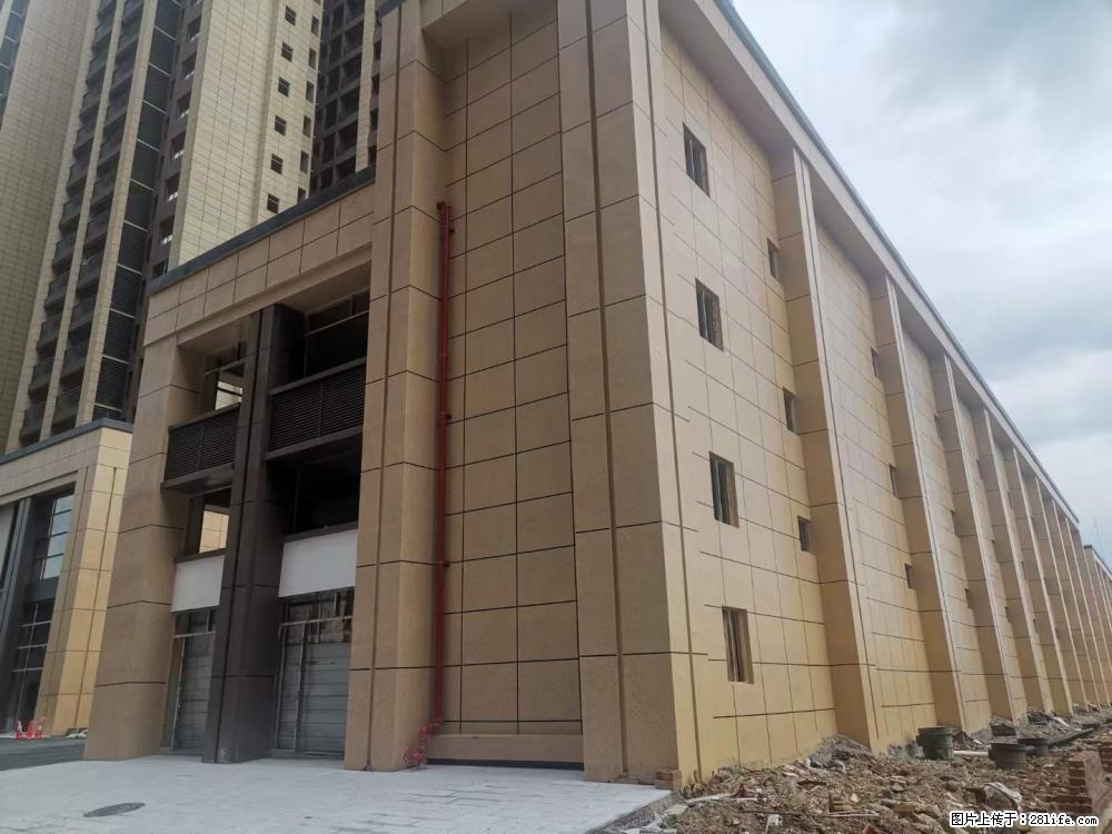 【广西三象建筑安装工程有限公司】外墙涂料工程 - 新手上路 - 丽水生活社区 - 丽水28生活网 lishui.28life.com