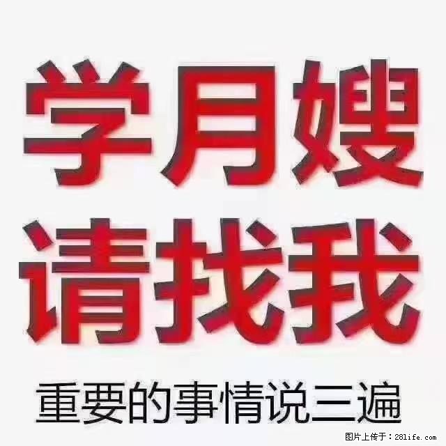 【招聘】月嫂，上海徐汇区 - 职场交流 - 丽水生活社区 - 丽水28生活网 lishui.28life.com