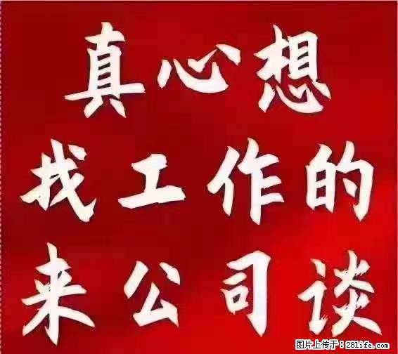 【上海】国企，医院招两名男保安，55岁以下，身高1.7米以上，无犯罪记录不良嗜好 - 职场交流 - 丽水生活社区 - 丽水28生活网 lishui.28life.com