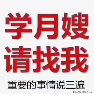 【招聘】月嫂，上海徐汇区 - 丽水28生活网 lishui.28life.com