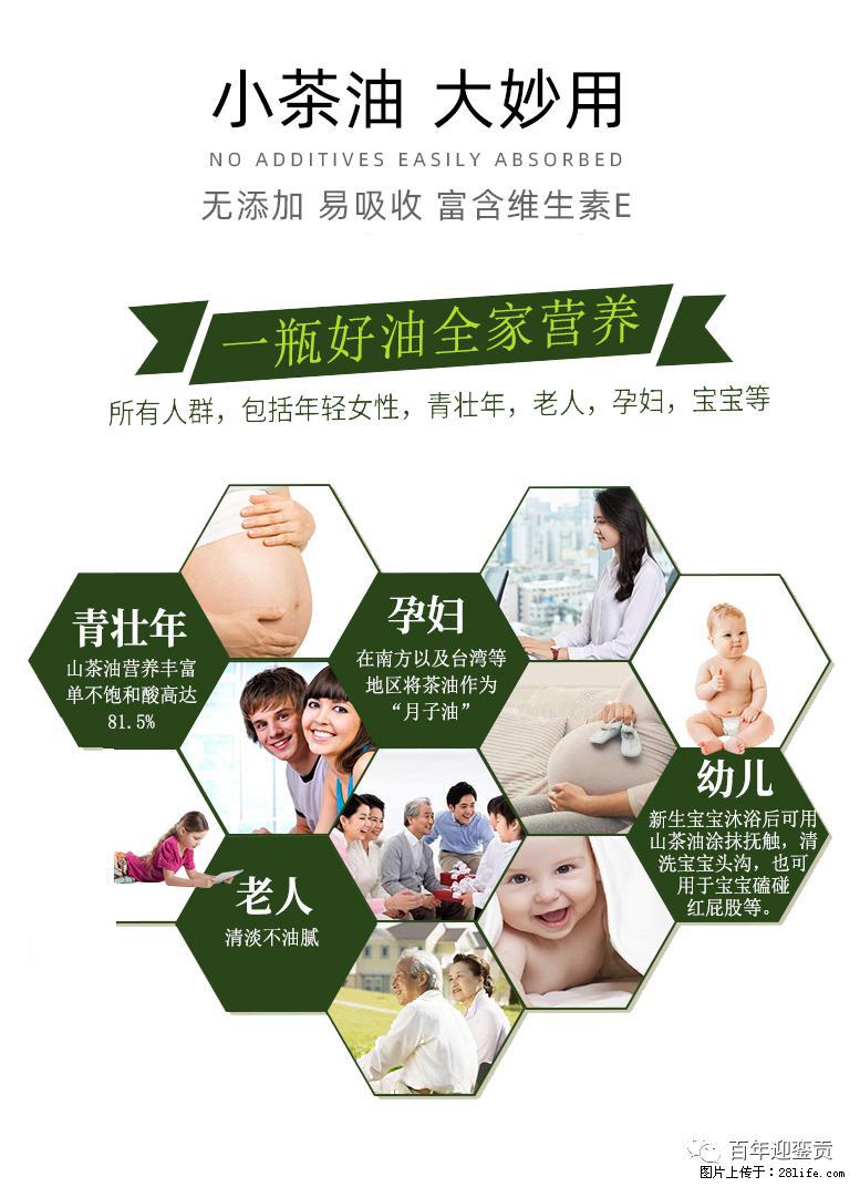 世界没有真相,只有认知,最好的食用油是中国的山茶油! - 丽水生活资讯 - 丽水28生活网 lishui.28life.com