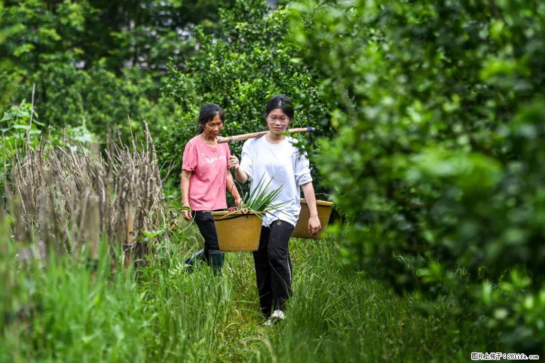 全网追的“扁担女孩”，找了一份暑假工，时薪12元 - 丽水生活资讯 - 丽水28生活网 lishui.28life.com