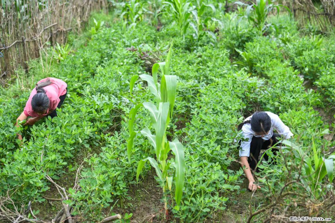 全网追的“扁担女孩”，找了一份暑假工，时薪12元 - 丽水生活资讯 - 丽水28生活网 lishui.28life.com