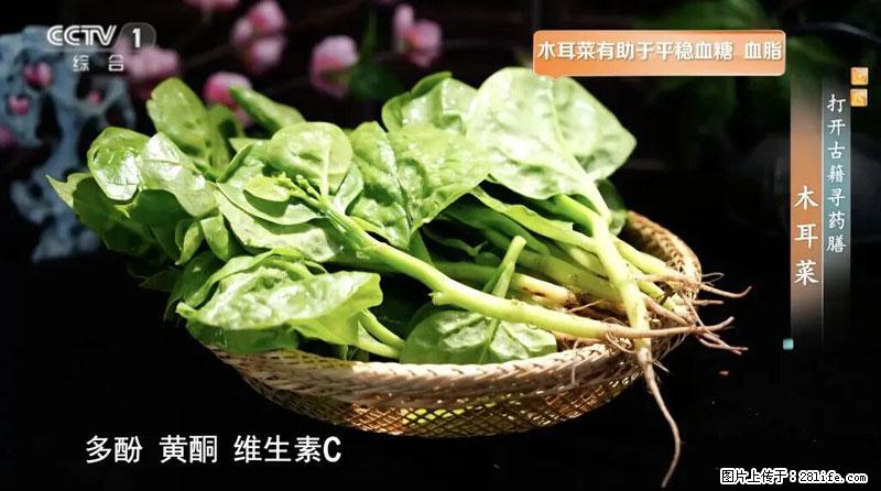比牛奶补钙还厉害!凉血解毒、稳血糖...这菜冬天必吃,很多人却当草 - 丽水生活资讯 - 丽水28生活网 lishui.28life.com