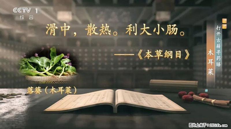 比牛奶补钙还厉害!凉血解毒、稳血糖...这菜冬天必吃,很多人却当草 - 丽水生活资讯 - 丽水28生活网 lishui.28life.com