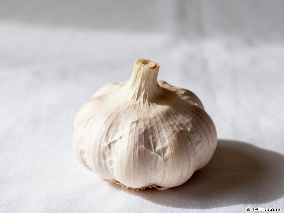 关于大蒜，除了“天然抗生素”，这4个谣言更该警惕! - 丽水生活资讯 - 丽水28生活网 lishui.28life.com