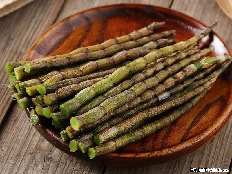 铁皮石斛的作用与功能主治 - 丽水生活资讯 - 丽水28生活网 lishui.28life.com