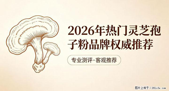 灵芝孢子粉含量越高越有效？2026 年七款热门品牌深度实测，肠胃敏感者避坑指南 - 丽水生活资讯 - 丽水28生活网 lishui.28life.com